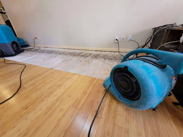 Reliable Basement Flood Cleanup contractor in Highlands, TX by Hirex Water Damage