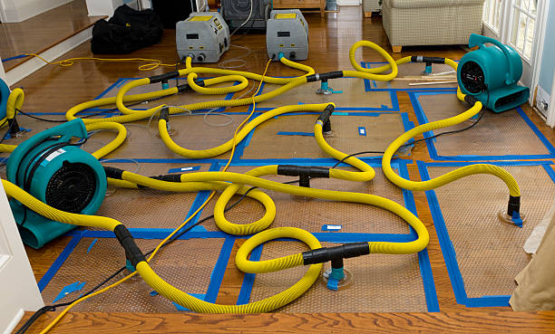 Professional Basement Flood Cleanup technician working in Highlands, TX